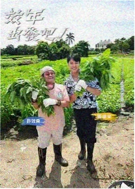 慢游全世界